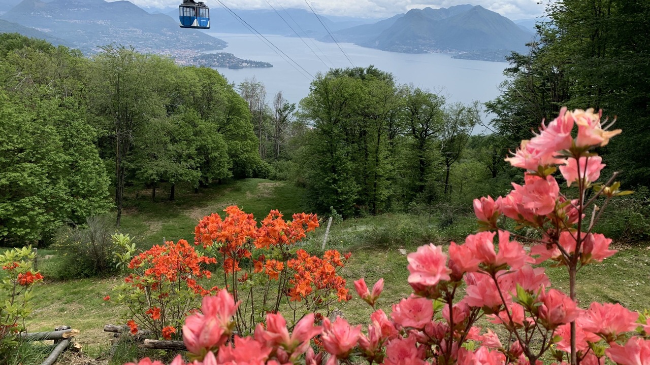 Photo of Outdoor in Carciano
