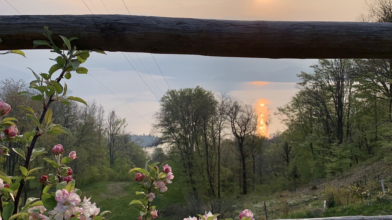 Photo of Outdoor in Carciano