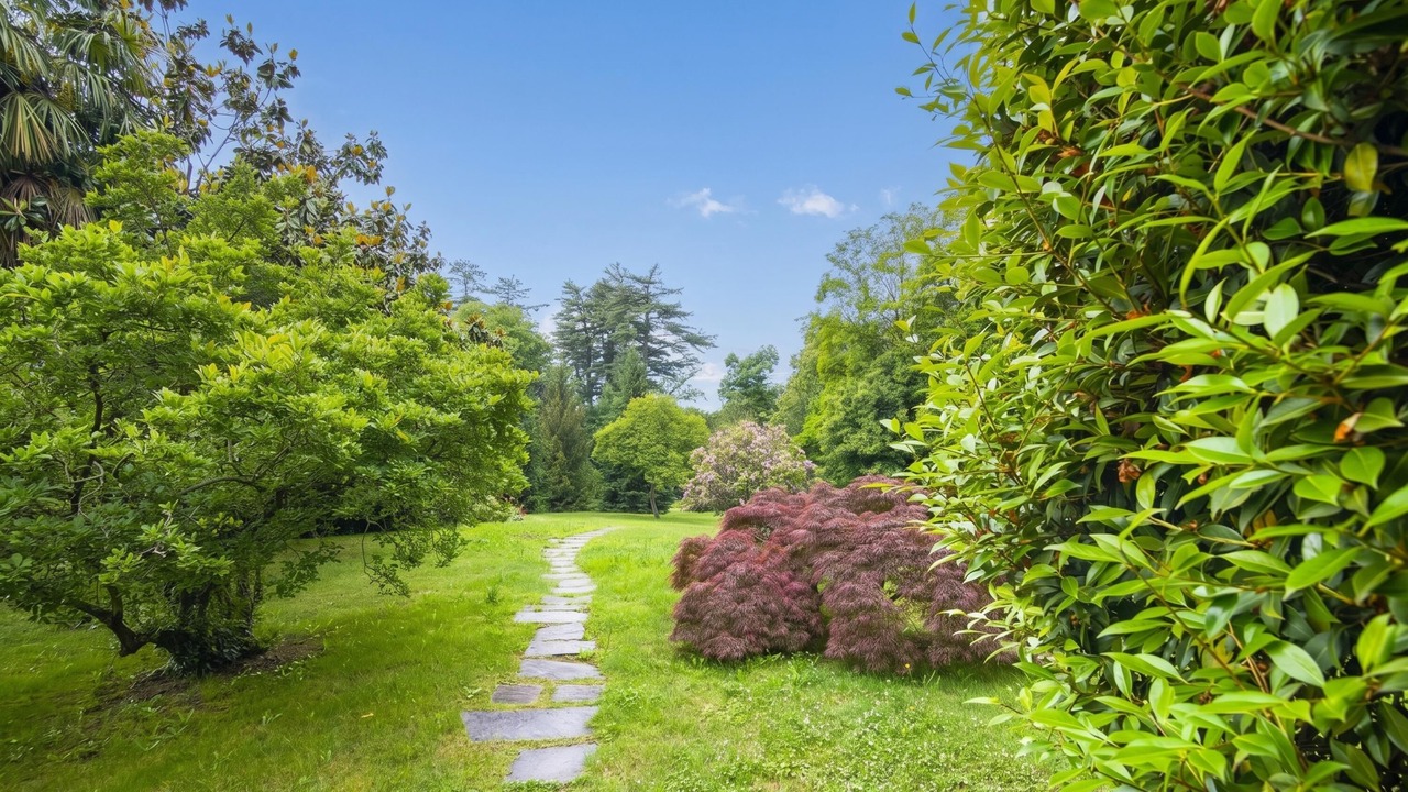 Photo of Outdoor in Ghiffa