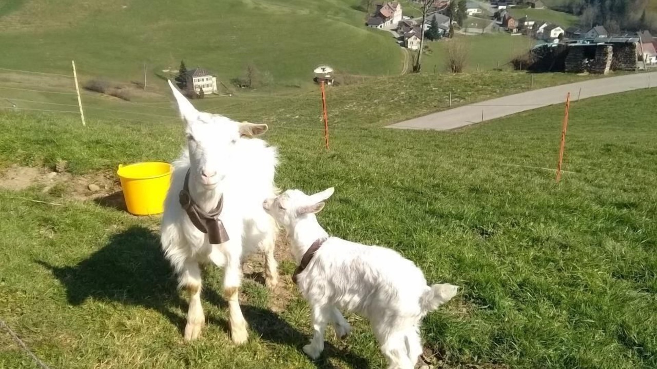 Photo of Others in Neckertal