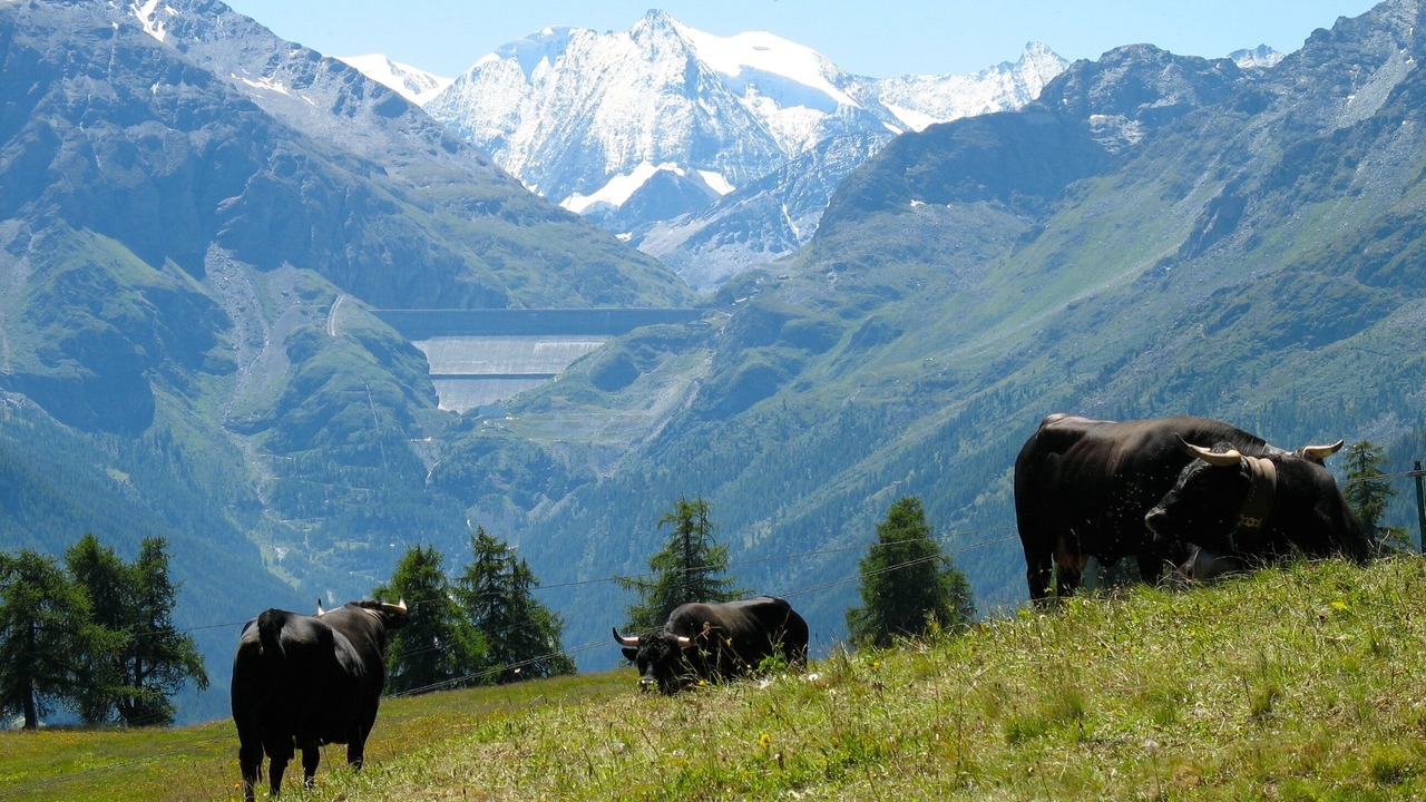 Photo of Outdoor in Veysonnaz