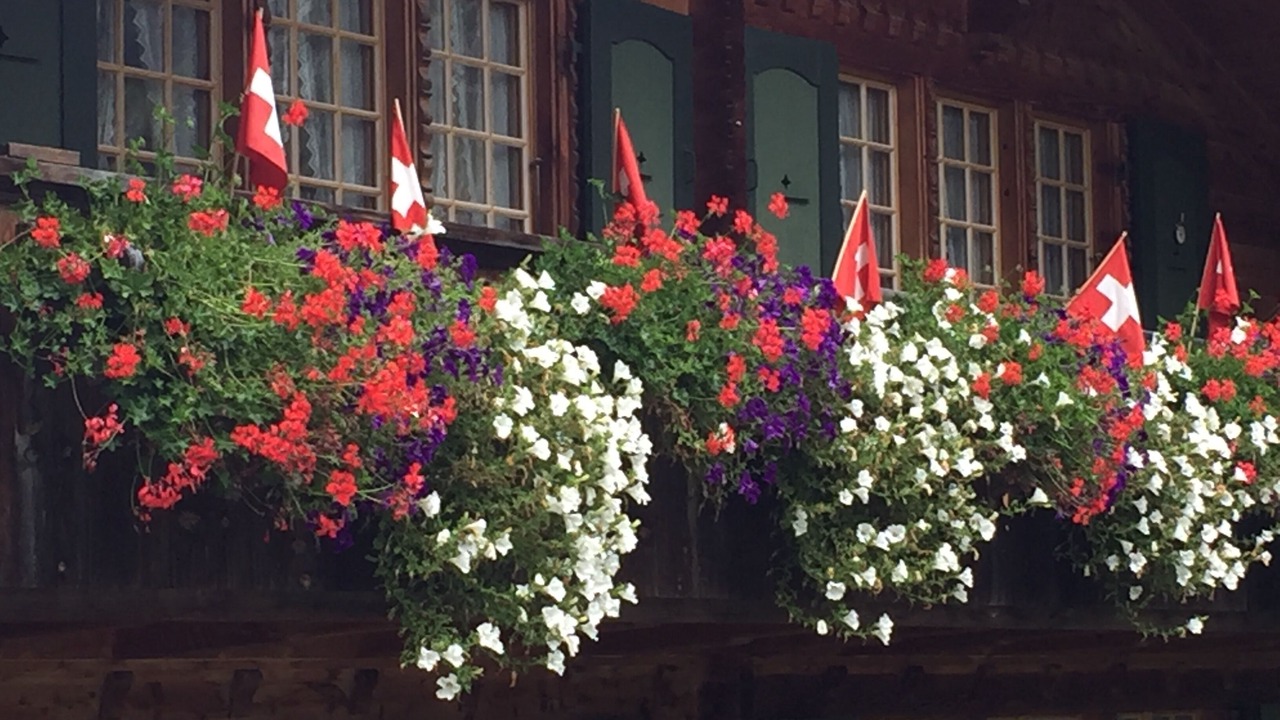 Photo of Outdoor in Lauterbrunnen
