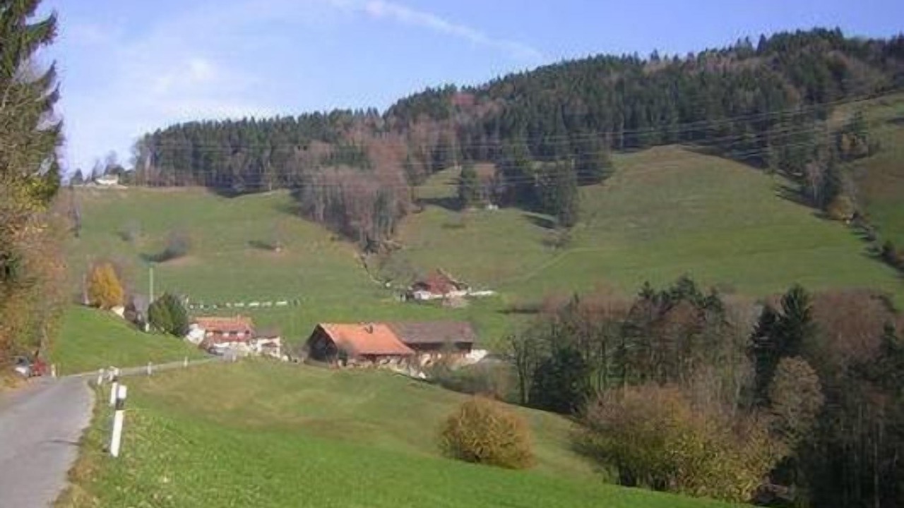 Photo of Others in Wald