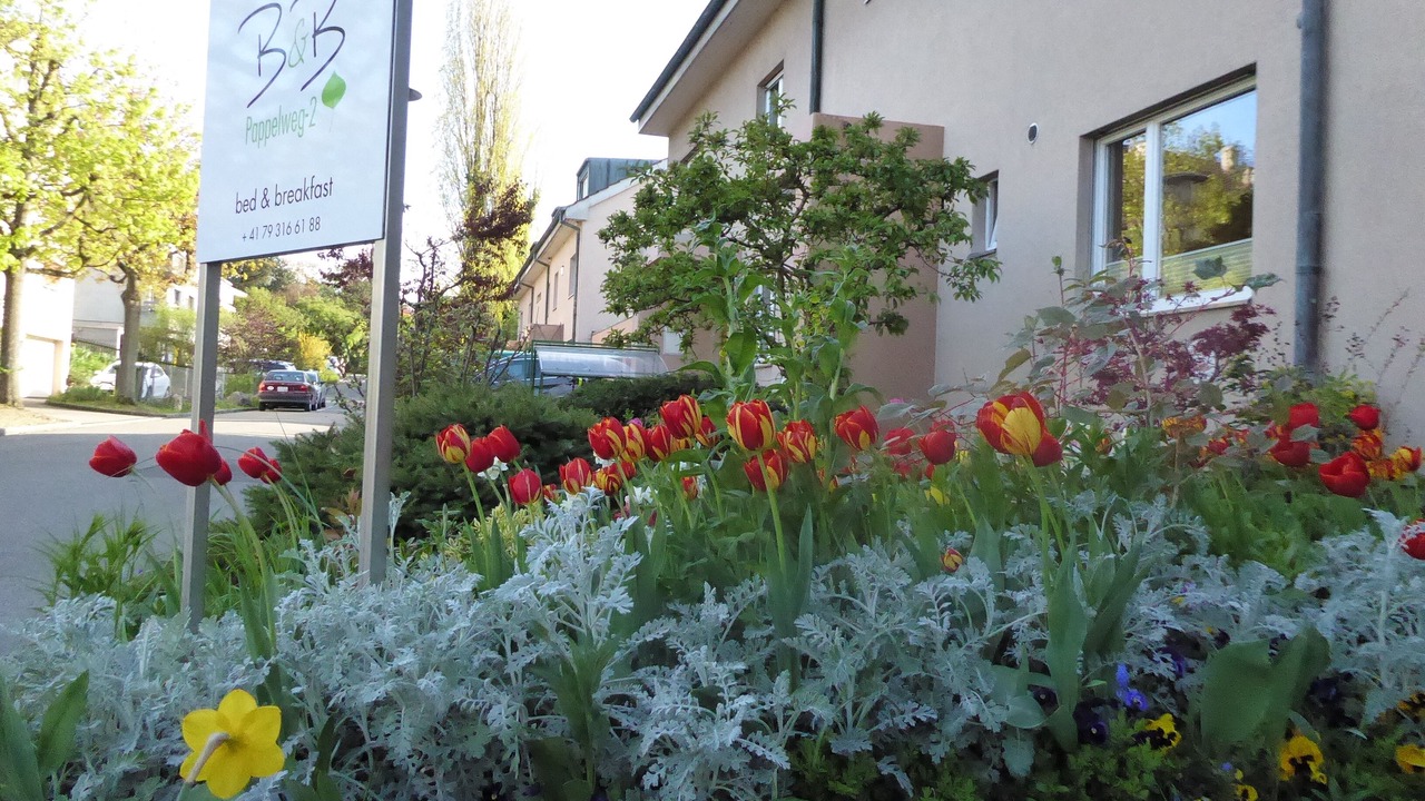 Photo of Outdoor in Muttenz
