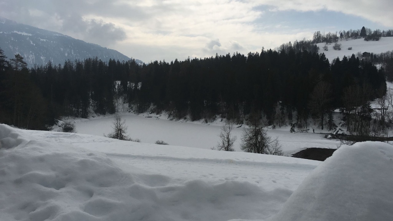 Photo of Others in Laax