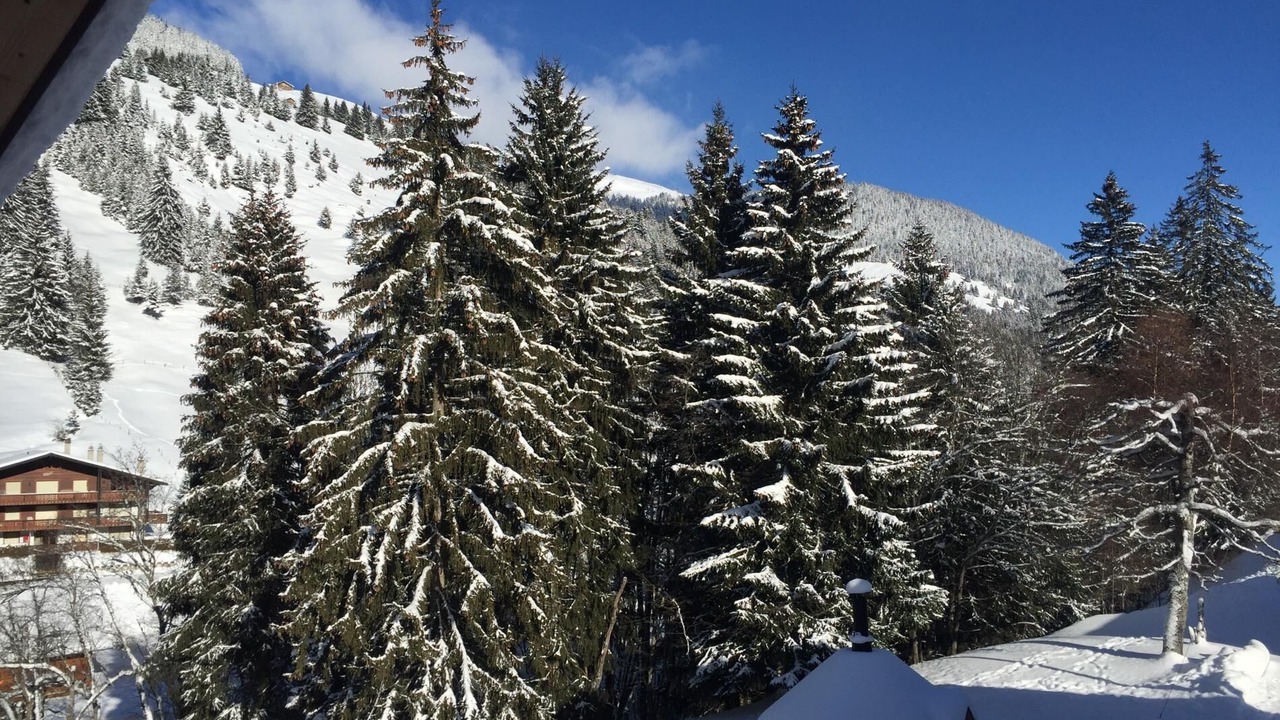 Photo of Others in Morgins
