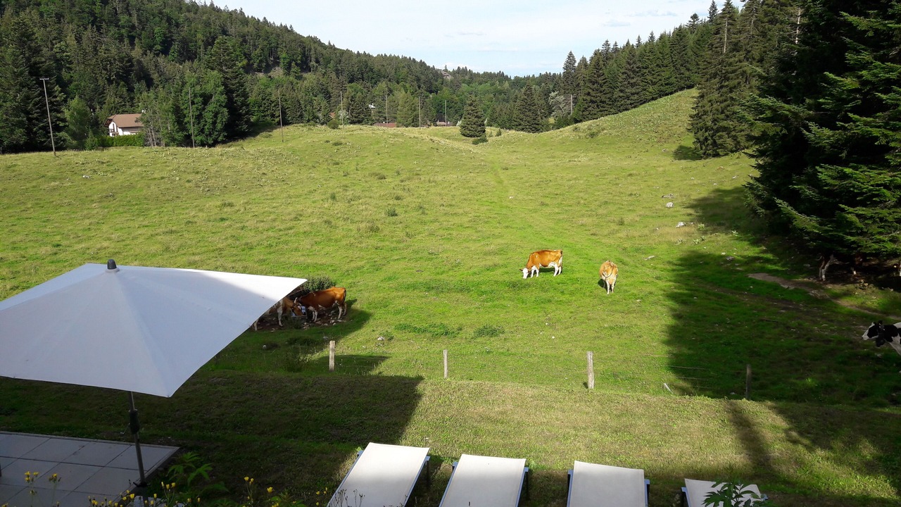 Photo of Outdoor in Saint-Cergue