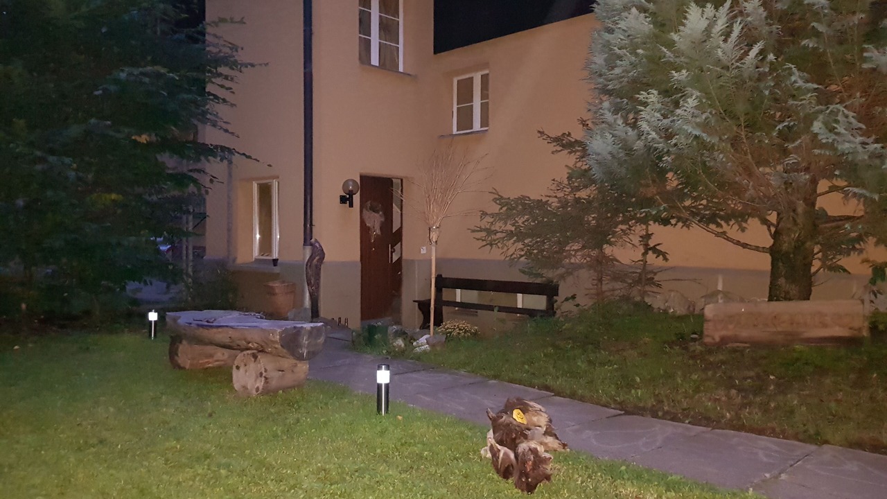 Photo of Outdoor in Grindelwald