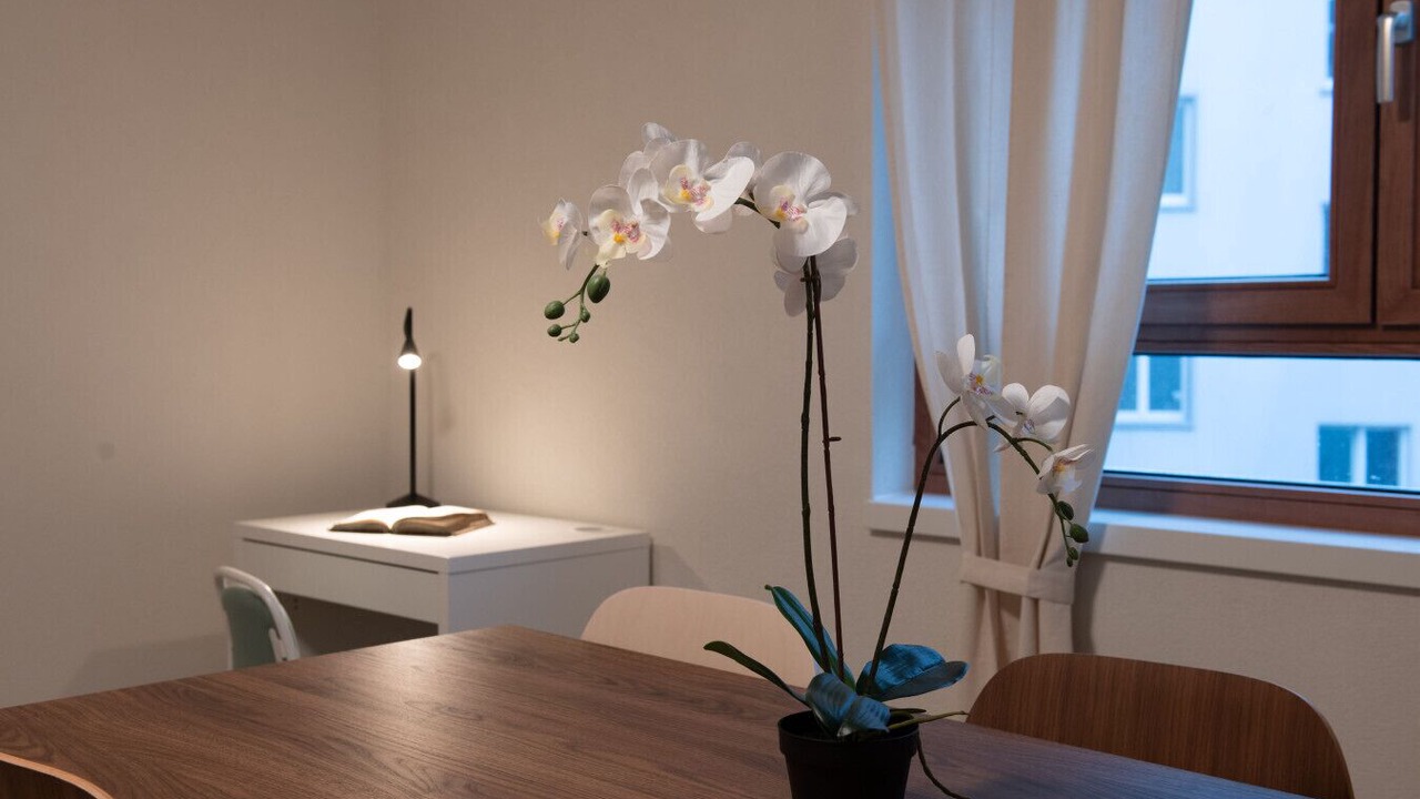 Photo of Livingroom in Oerlikon