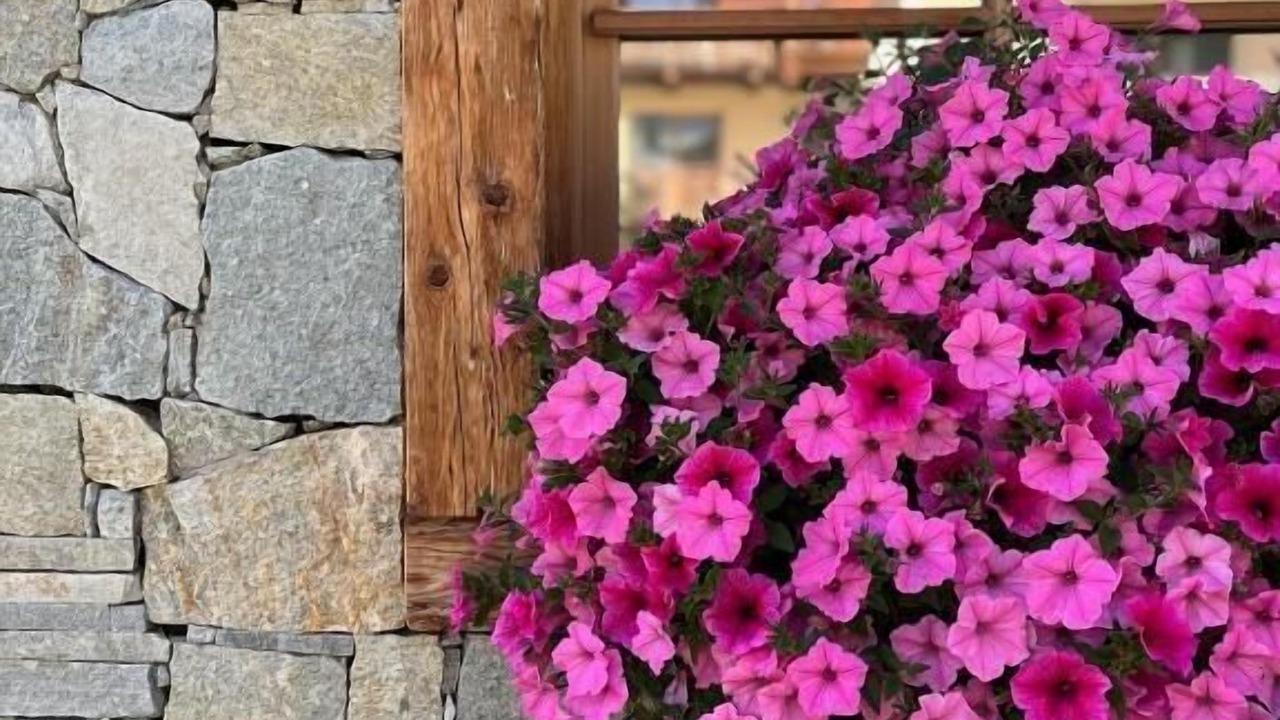 Photo of Outdoor in San Rocco