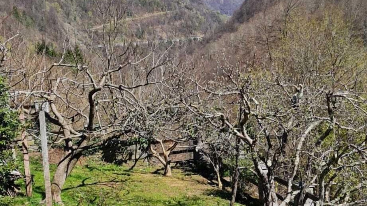 Photo of Others in Molini
