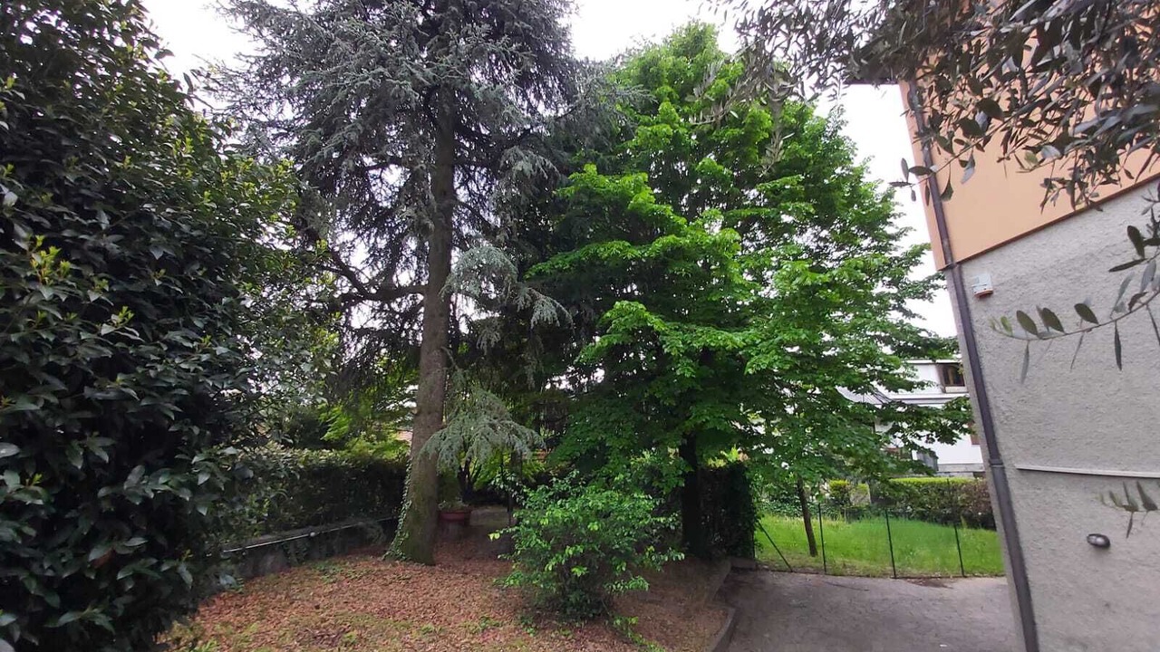 Photo of Outdoor in Ponteranica