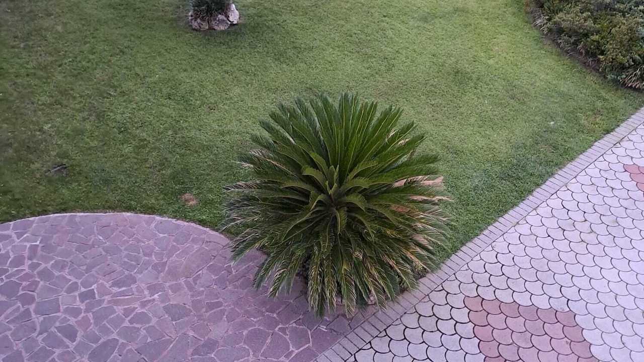 Photo of Outdoor in San Macario