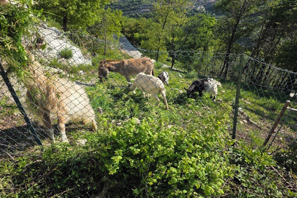 Photo of Others in Prabione