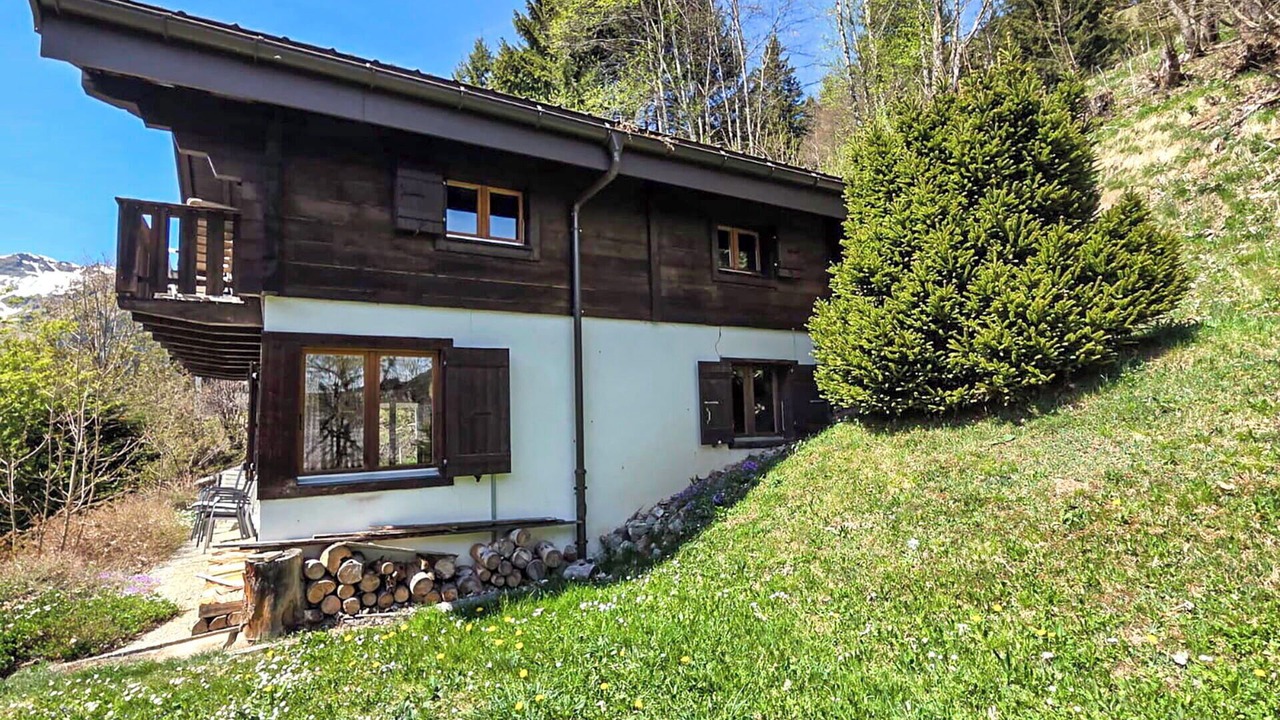Photo of Others in Morgins