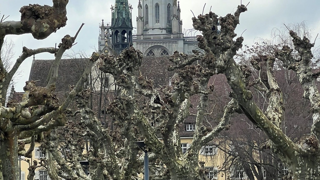 Photo of Others in Petershausen-Ost
