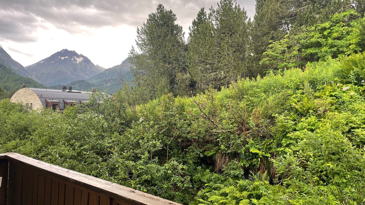 Photo of Outdoor in Maloja