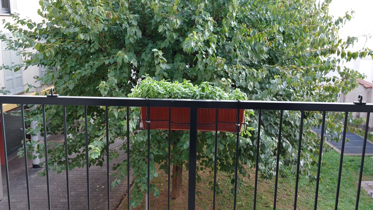 Photo of Outdoor in Gorgonzola