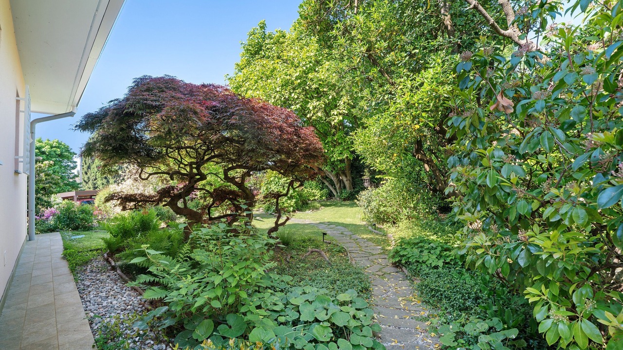 Photo of Outdoor in Ispra