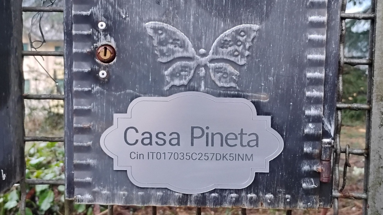 Photo of Others in Capo di Ponte
