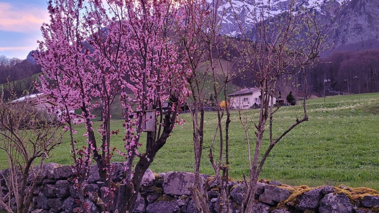 Photo of Others in Schwanden