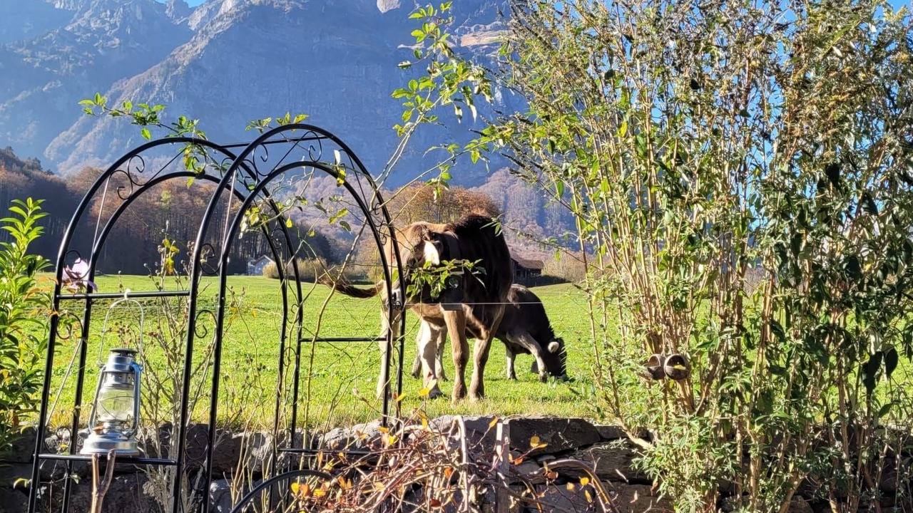 Photo of Others in Schwanden