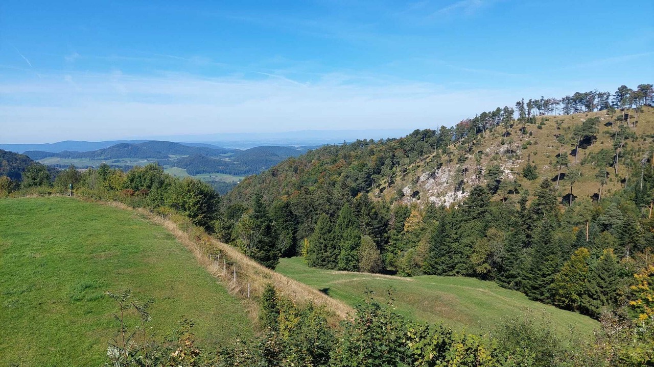 Photo of Others in Waldenburg