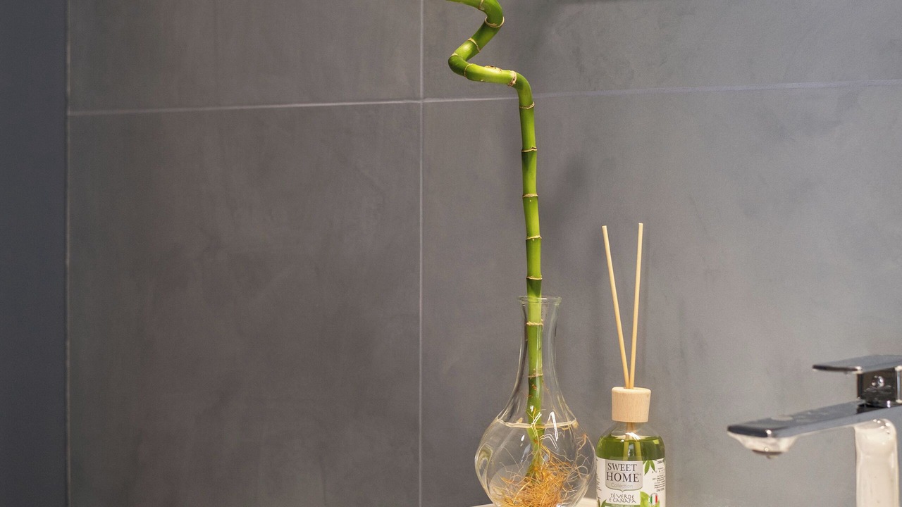 Photo of Bathroom in Baranzate