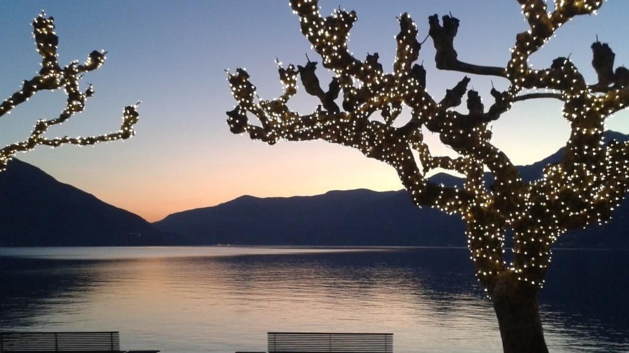 Photo of Others in Ascona