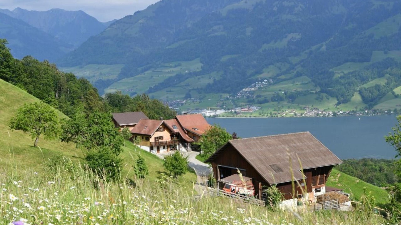 Photo of Others in Sarnen