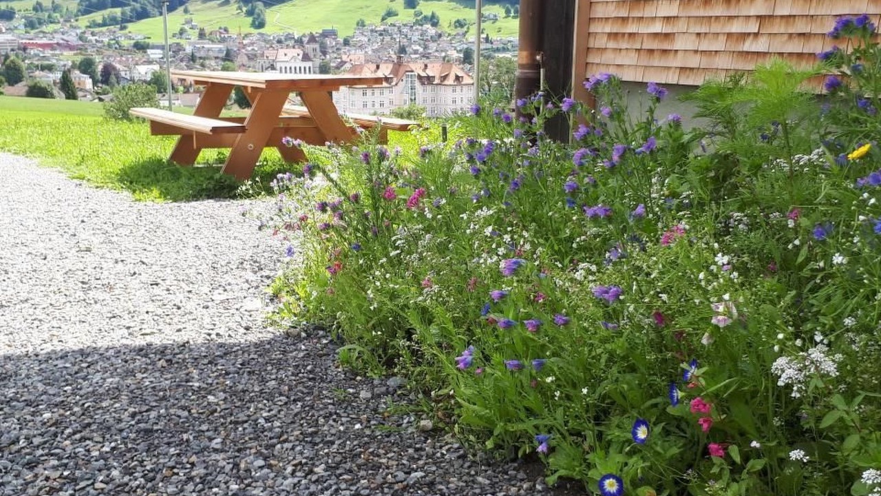 Photo of Others in Appenzell