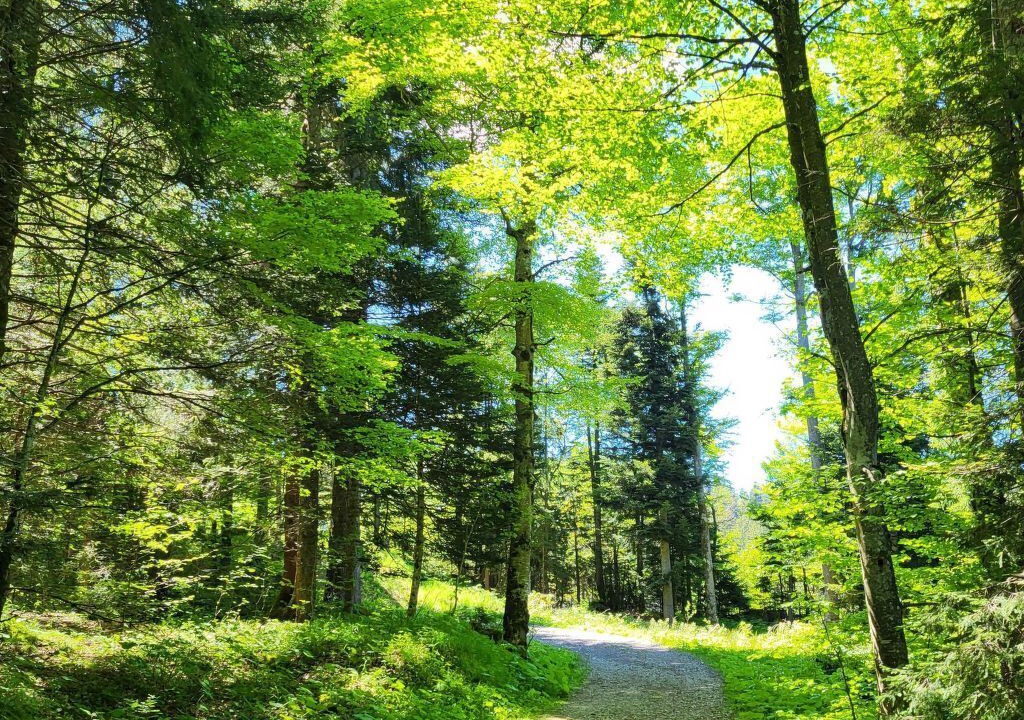 Photo of Others in Giswil
