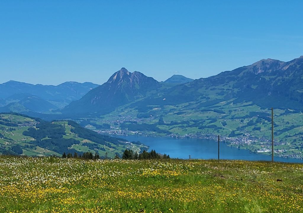 Photo of Others in Giswil