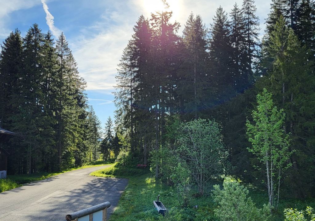 Photo of Others in Giswil