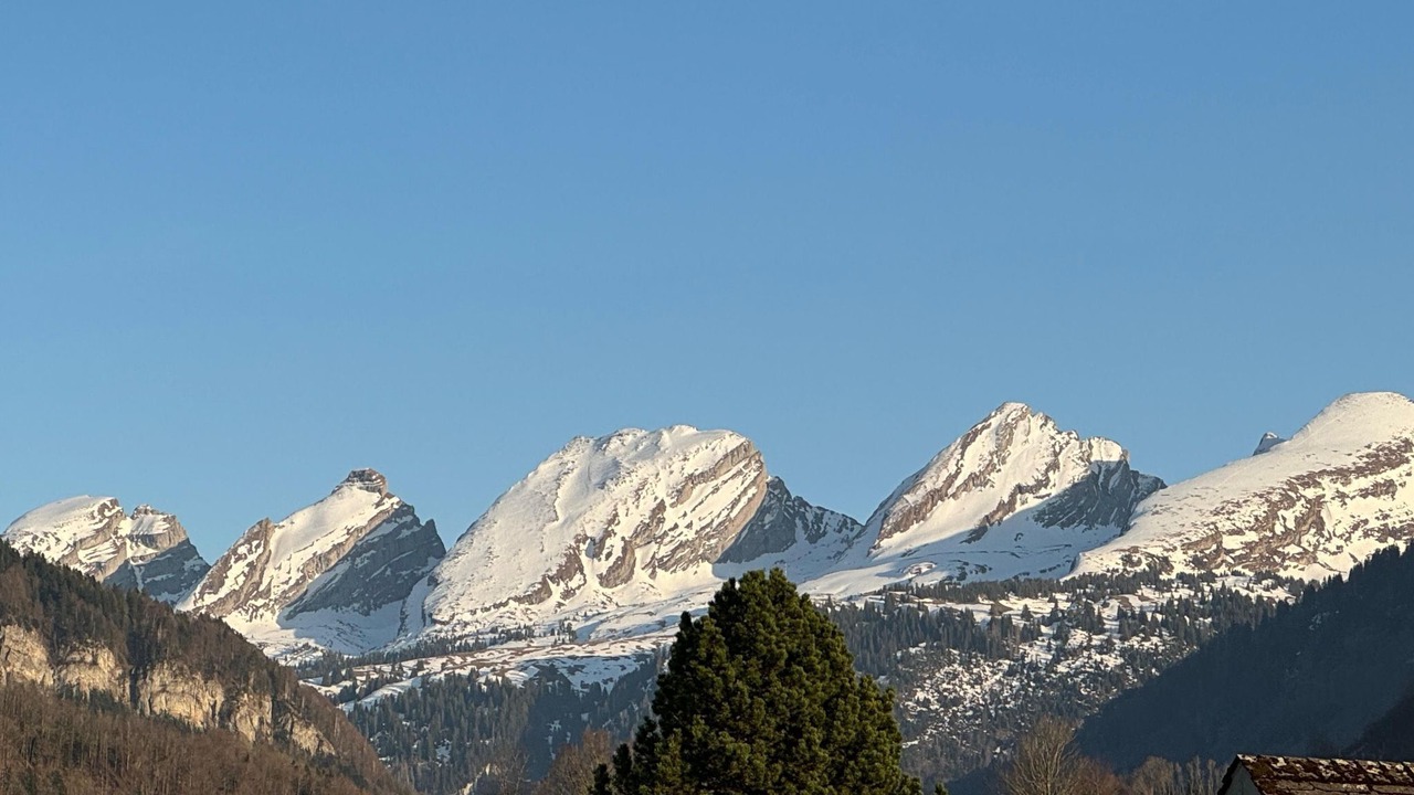 Photo of Others in Neu St Johann