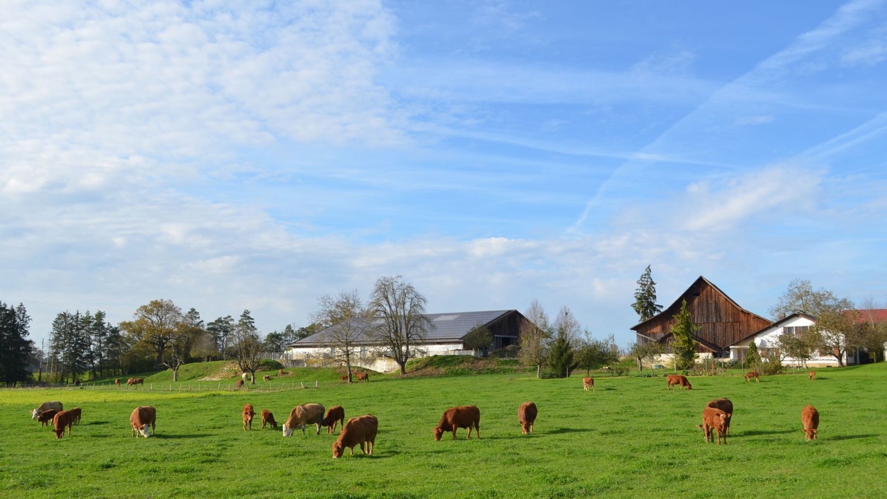 Photo of Others in Haute-Ajoie