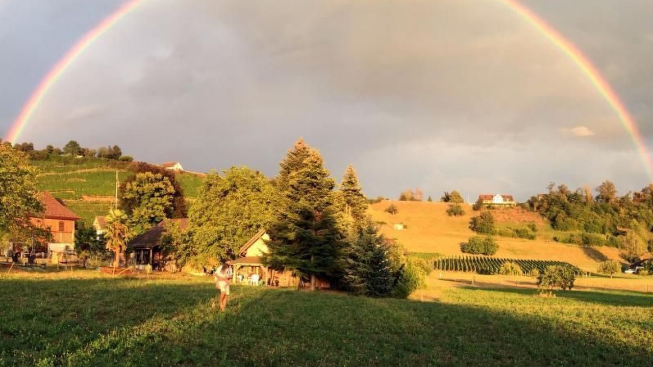 Photo of Others in Meilen District