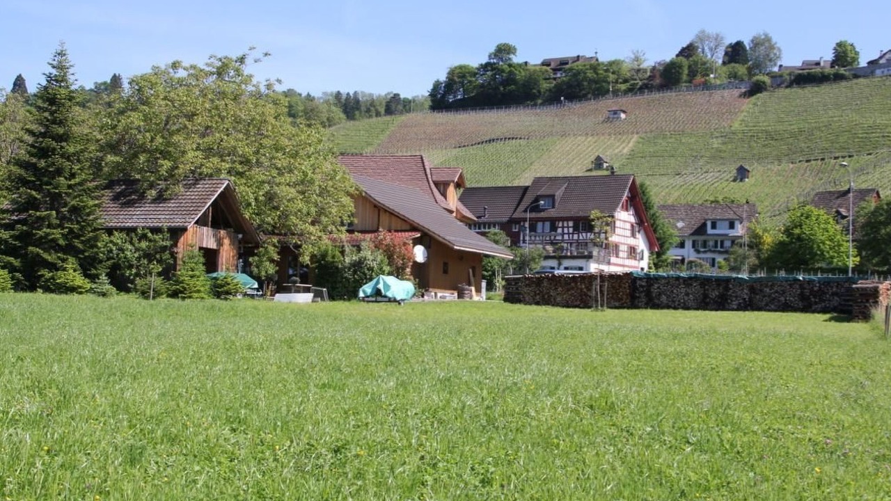 Photo of Others in Meilen District