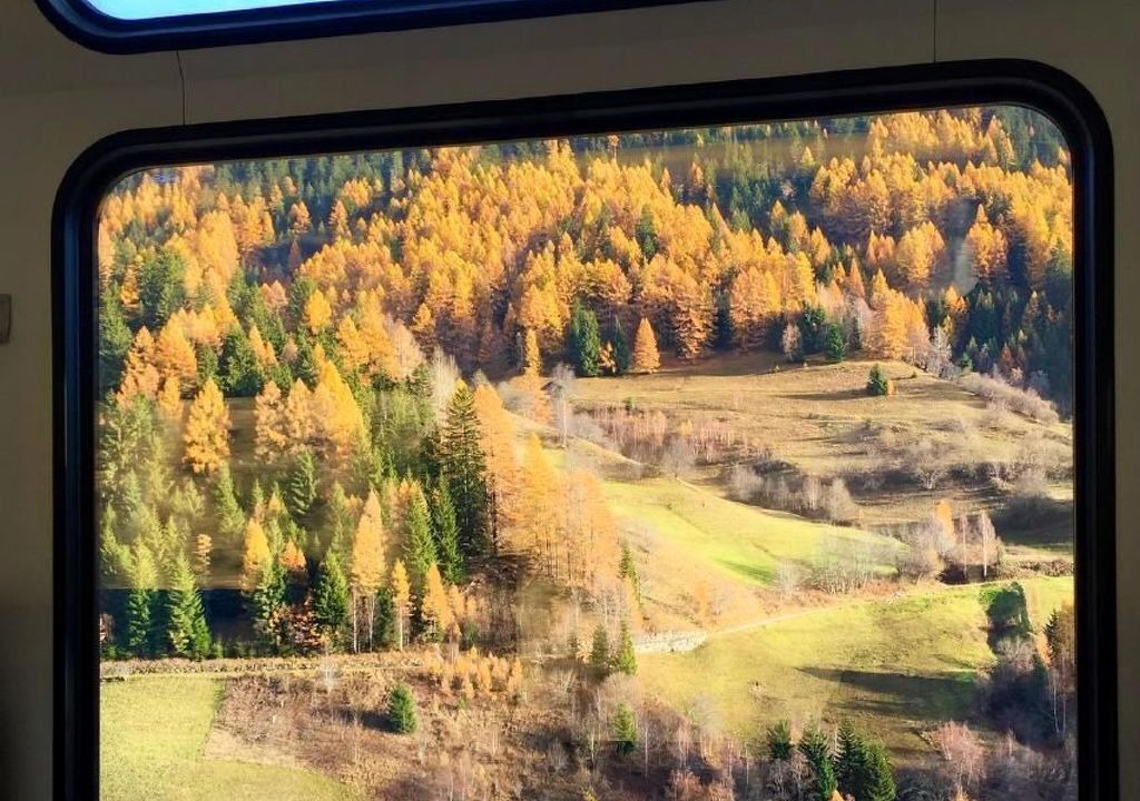 Photo of Others in Niederwald