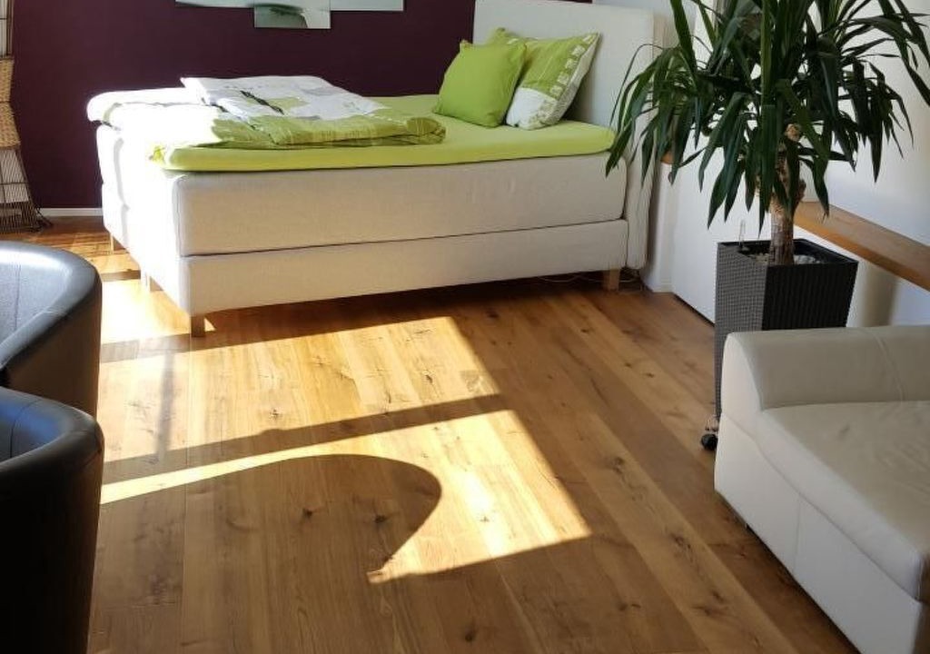 Photo of Livingroom in Meilen District
