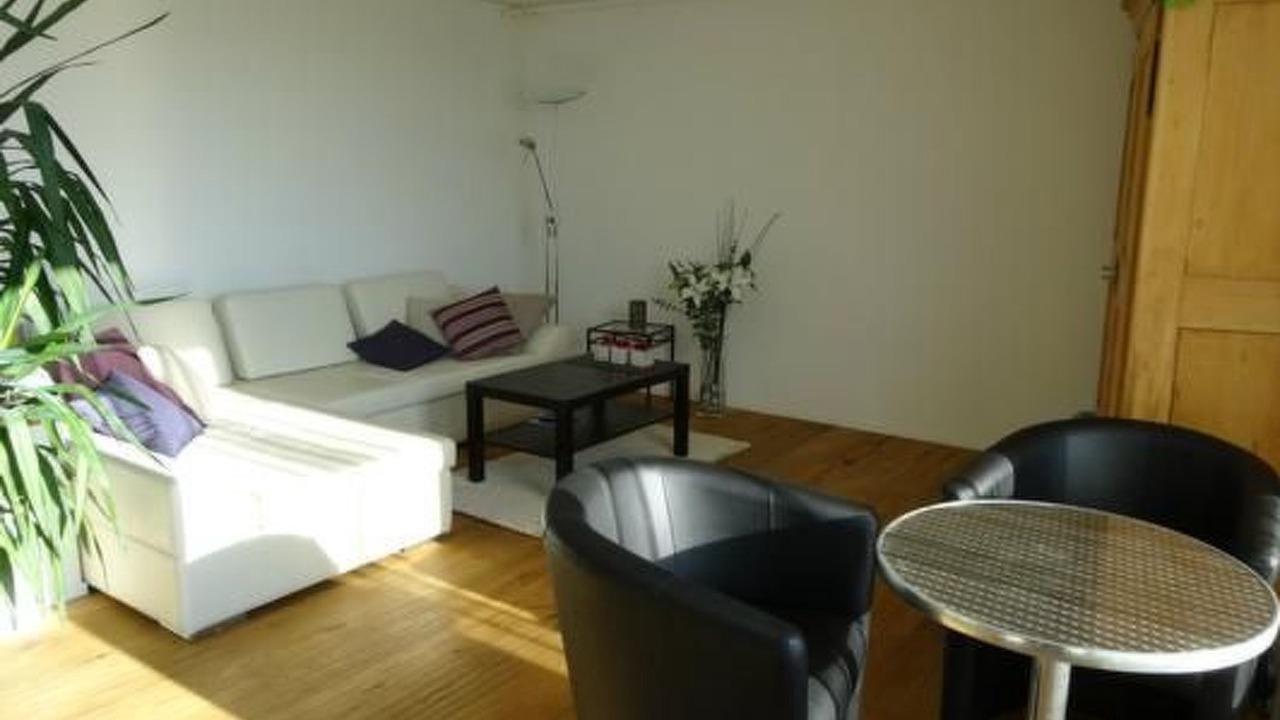 Photo of Livingroom in Meilen District