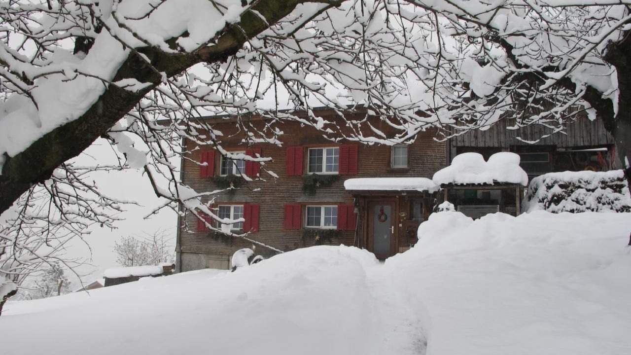 Photo of Outdoor in Grabs