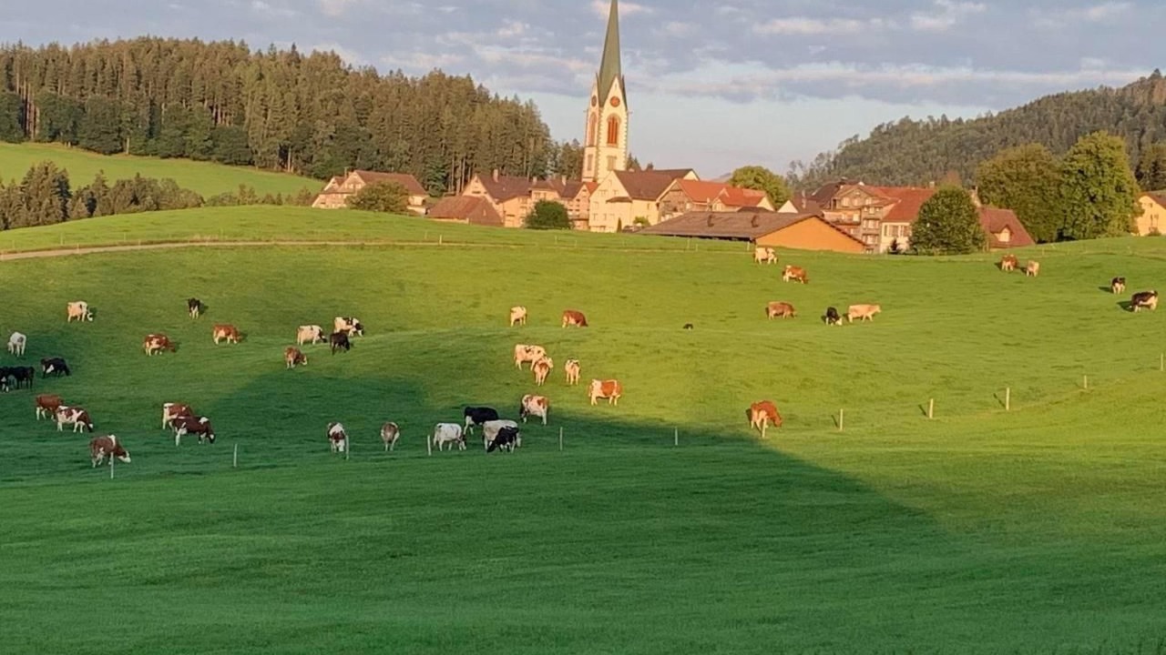 Photo of Others in Haslen