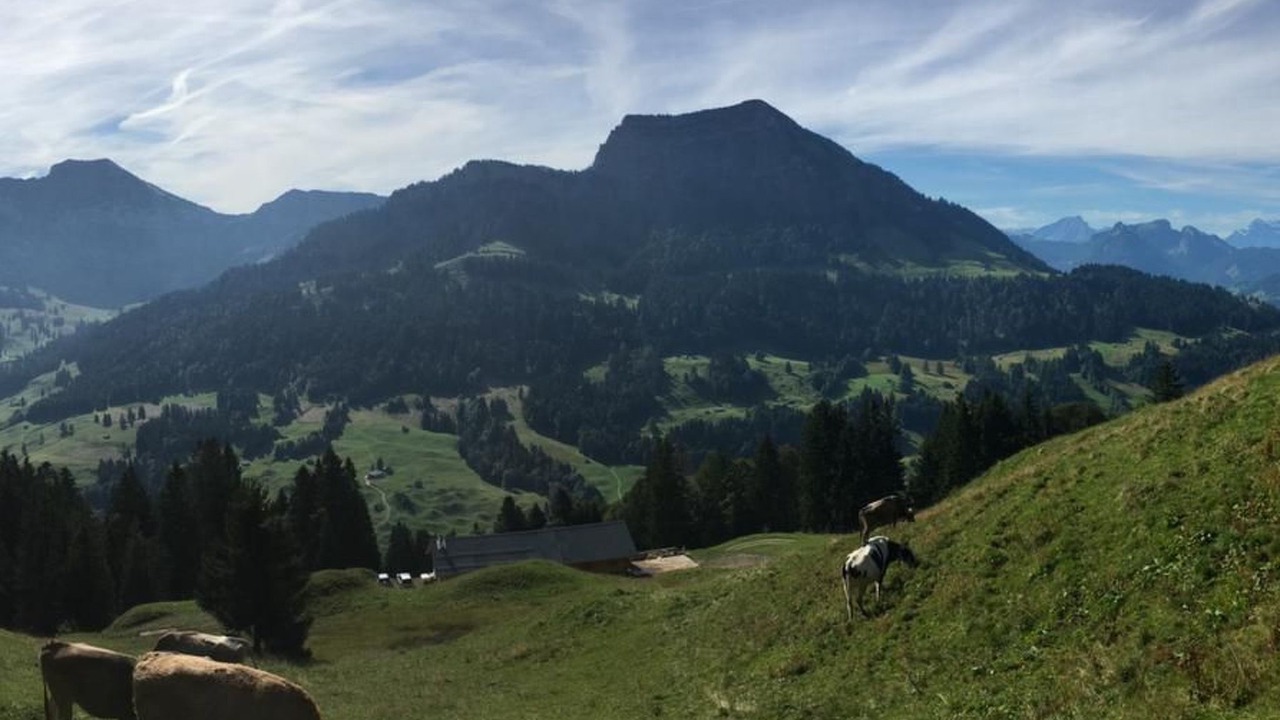 Photo of Others in Ennetbuhl