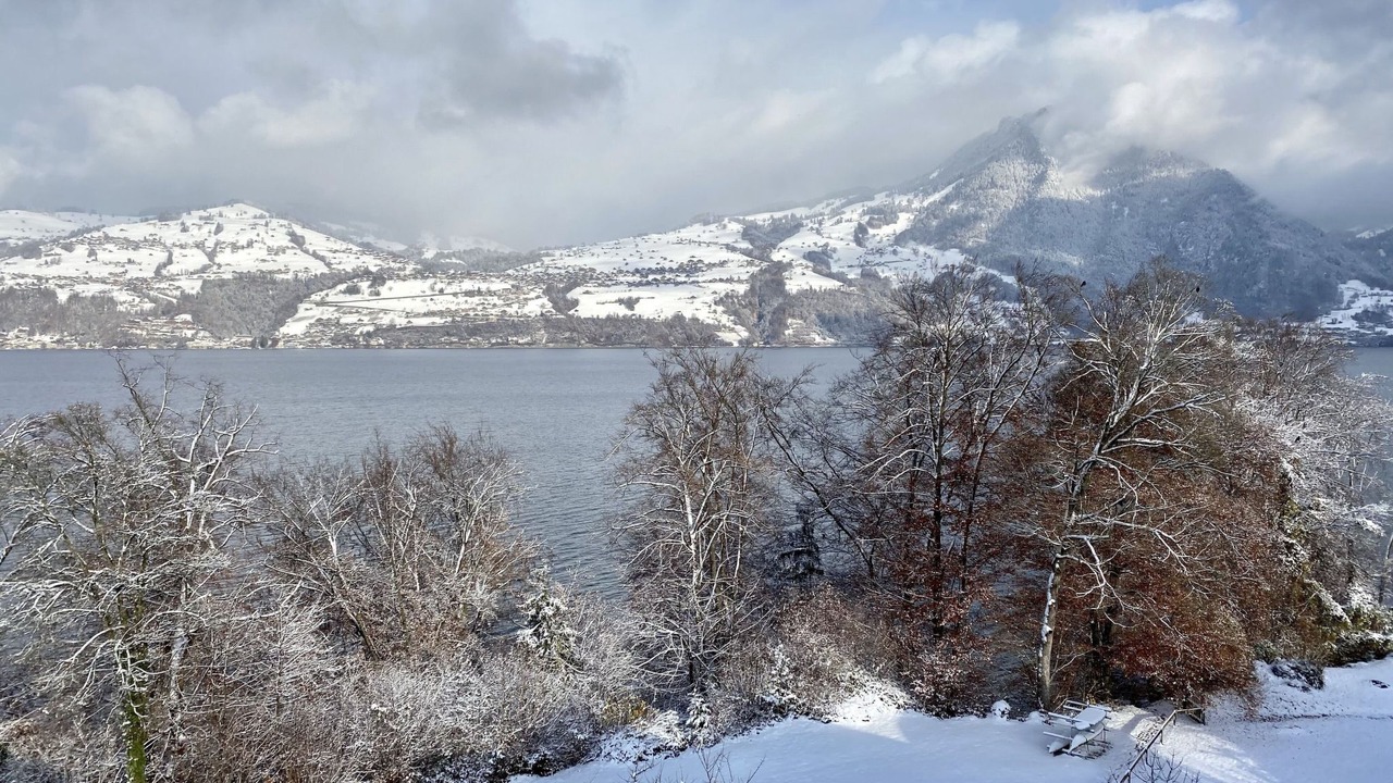 Photo of Others in Spiez