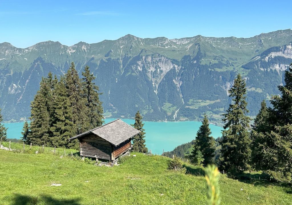 Photo of Others in Axalp