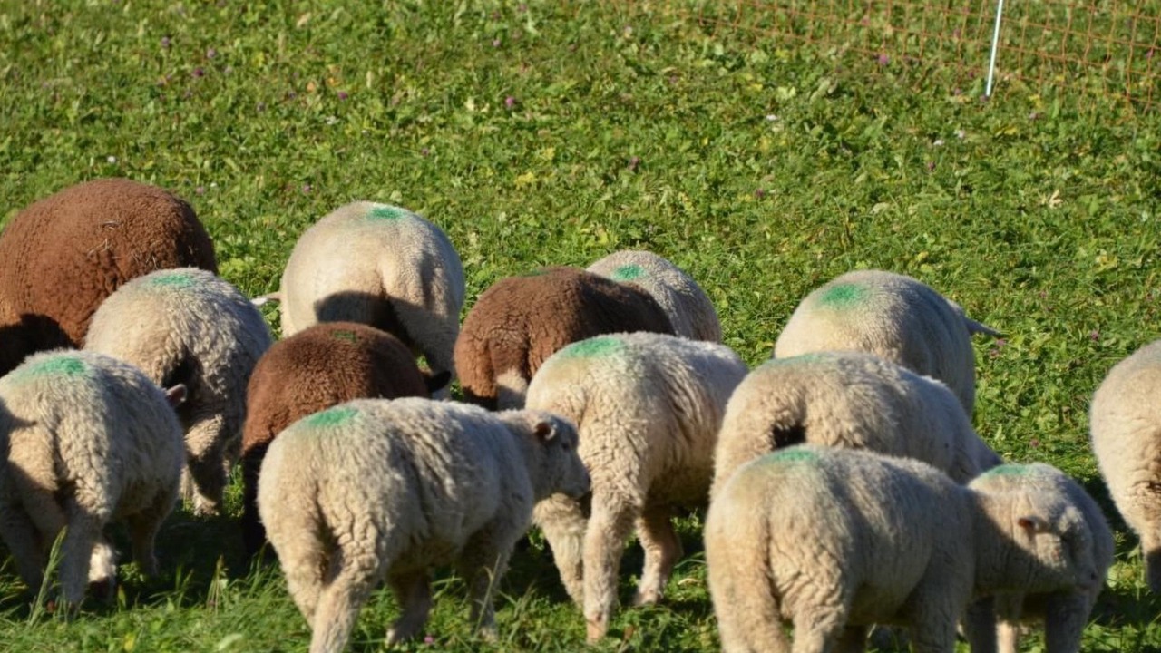 Photo of Others in Lohn