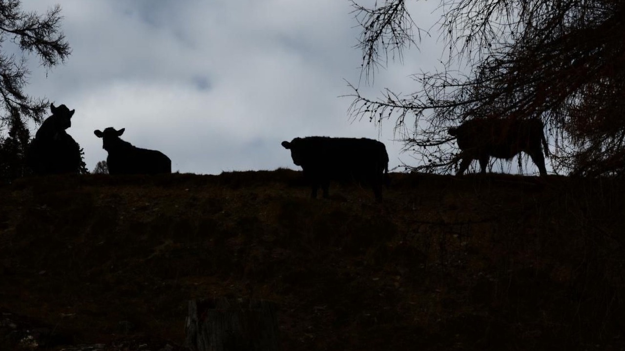 Photo of Others in Lohn