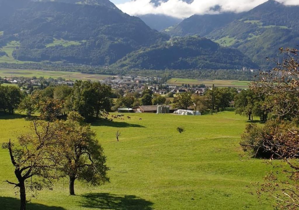 Photo of Others in Maienfeld