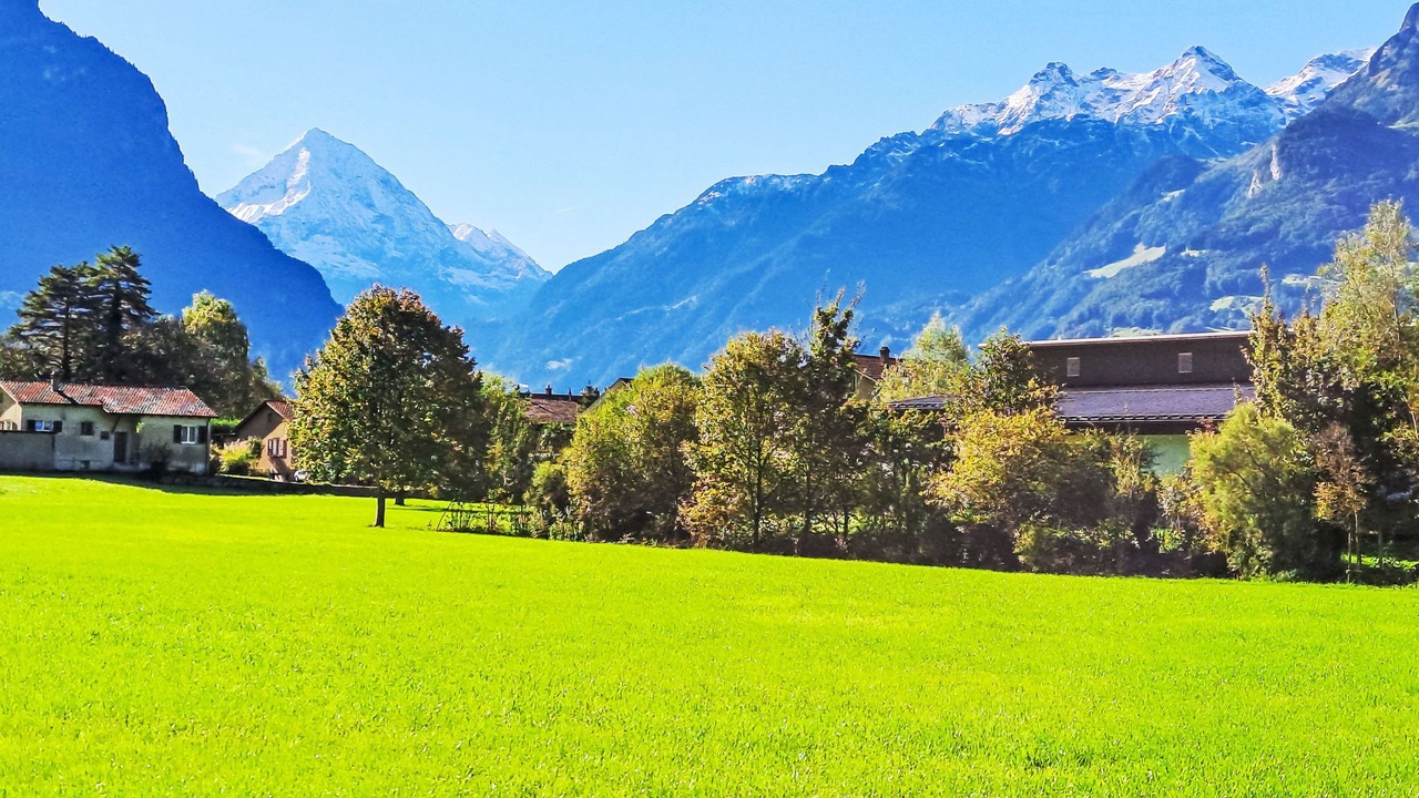 Photo of Others in Altdorf